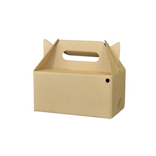 10 Loncheras Grande 20.5x12x10+8