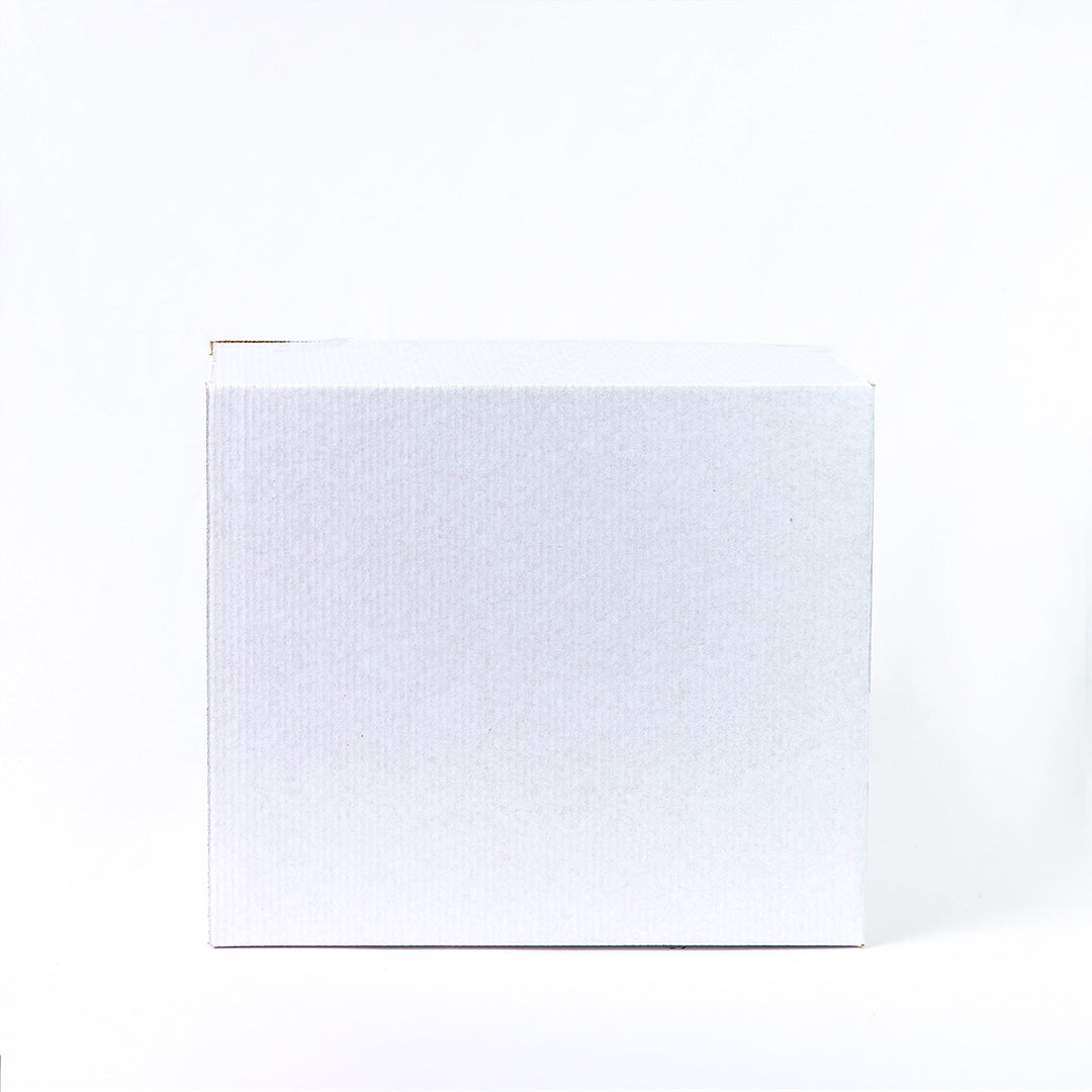 Caja Regular  Blanca 30x20x25
